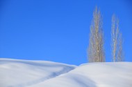 新疆阿勒泰雪景图片_9张