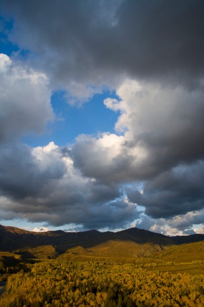 点击大图看下一张：阿勒泰白哈巴
