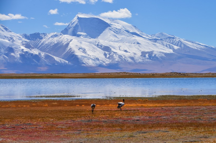 点击大图看下一张：西藏阿里风景图片  