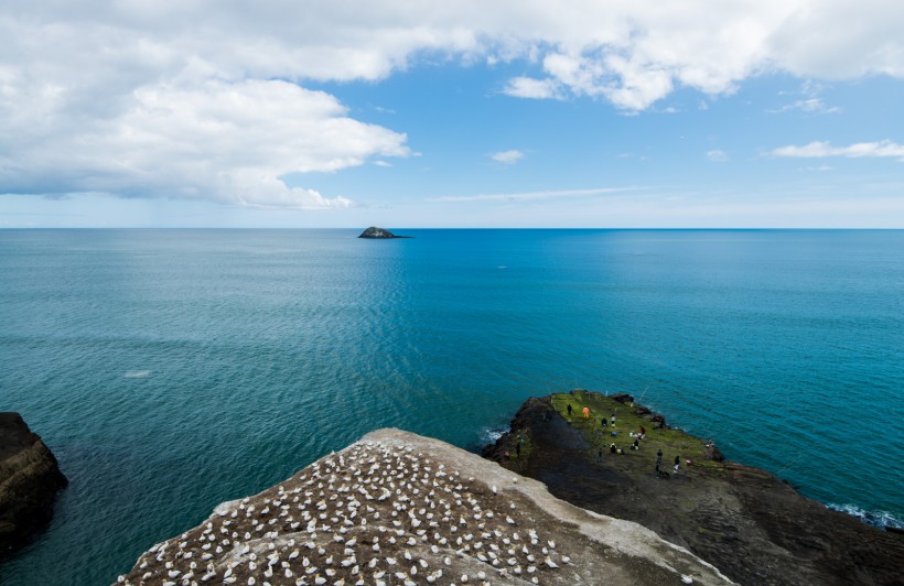 点击大图看下一张：新西兰奥克兰鸟岛风景图片