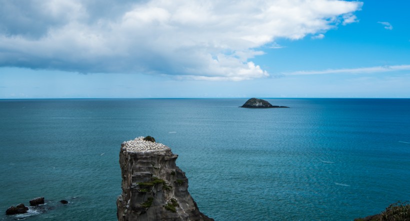 点击大图看下一张：新西兰奥克兰鸟岛风景图片