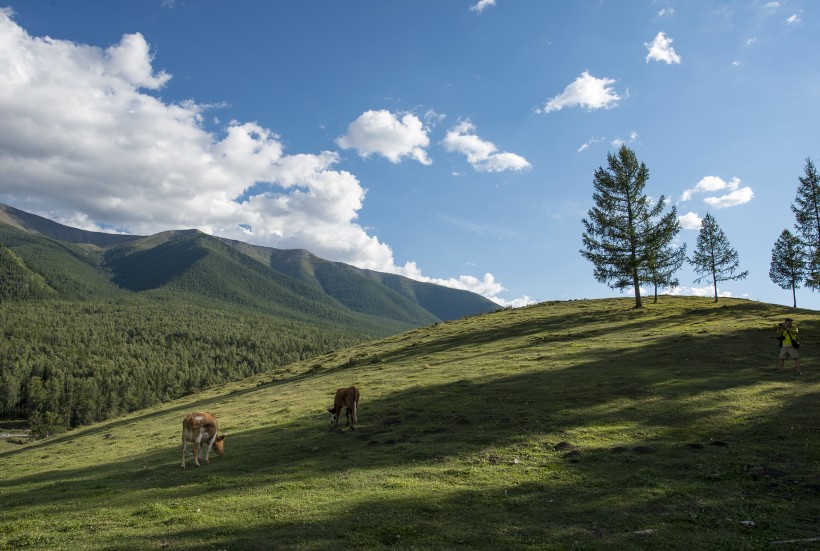 点击大图看下一张：新疆白哈巴村风景图片