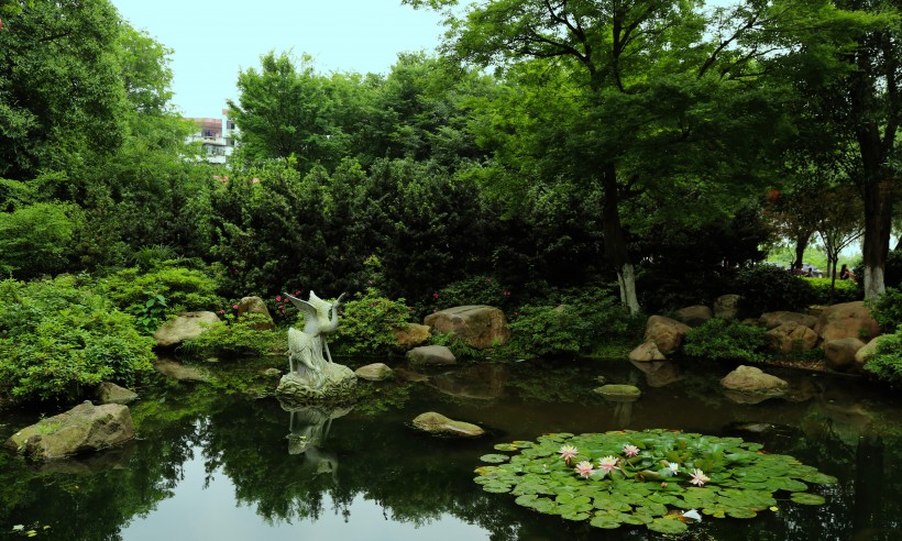 点击大图看下一张：南京白鹭洲公园风景图片