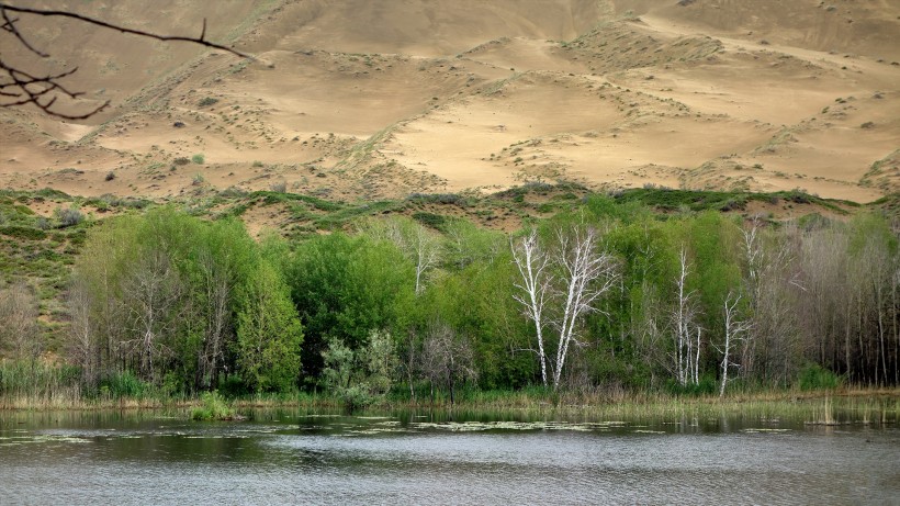 点击大图看下一张：新疆白沙湖风景图片