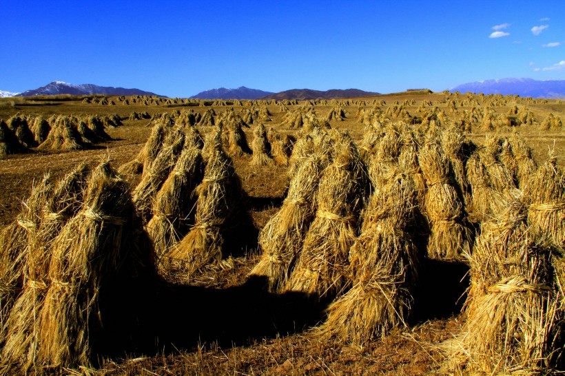 点击大图看下一张：甘肃兰州白塔山风景图片