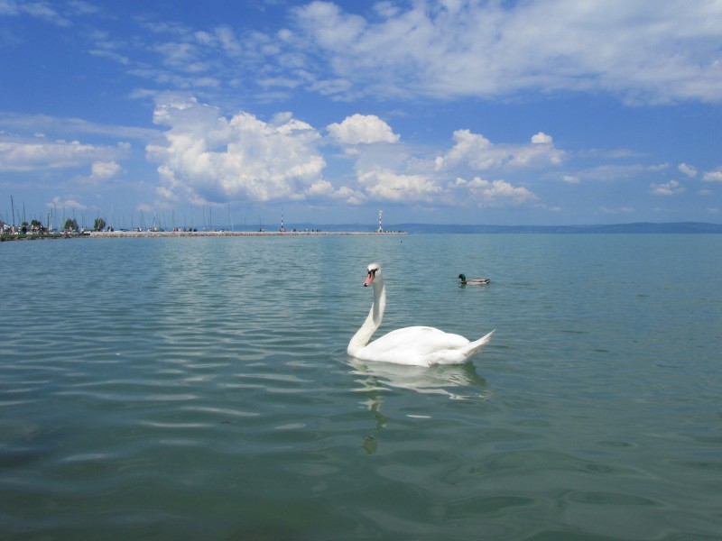 点击大图看下一张：匈牙利巴拉顿湖风景图片