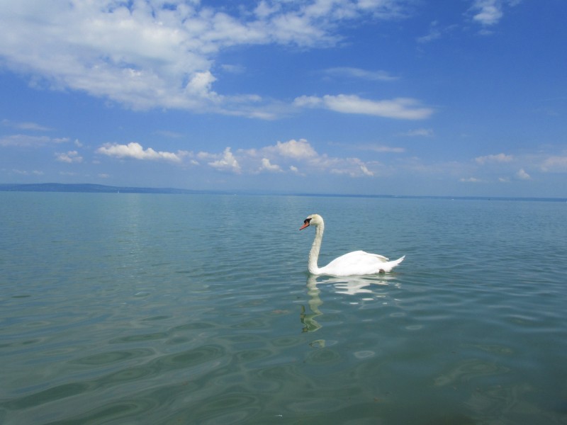 点击大图看下一张：匈牙利巴拉顿湖风景图片