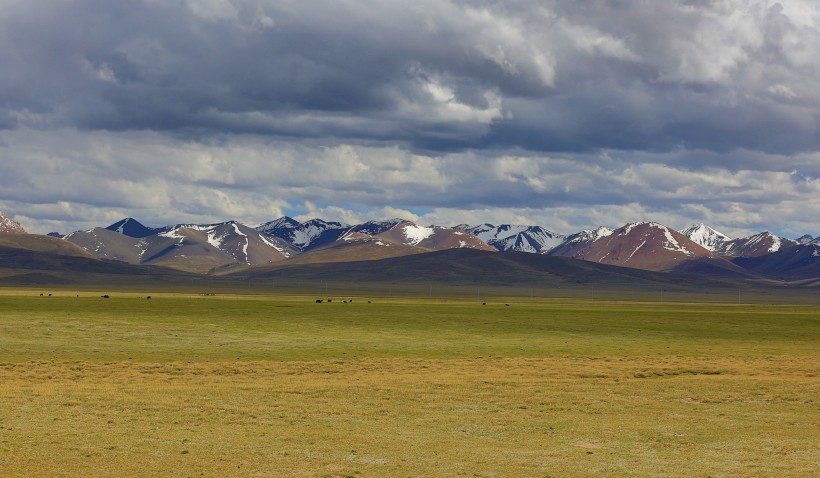 点击大图看下一张：西藏班戈草原风景图片