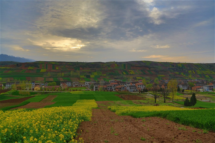 点击大图看下一张：陕西西安鲍旗寨村油菜花风景图片