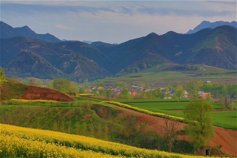 点击大图看下一张：陕西西安鲍旗寨村油菜花风景图片
