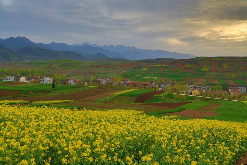 点击大图看下一张：陕西西安鲍旗寨村油菜花风景图片