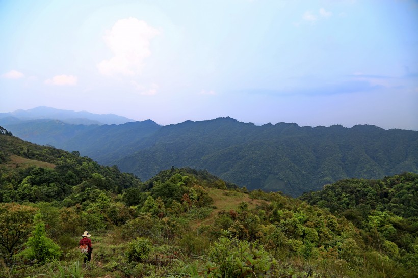 点击大图看下一张：广东罗定八排山风景图片