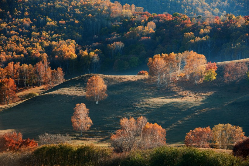 点击大图看下一张：河北坝上秋季风景图片