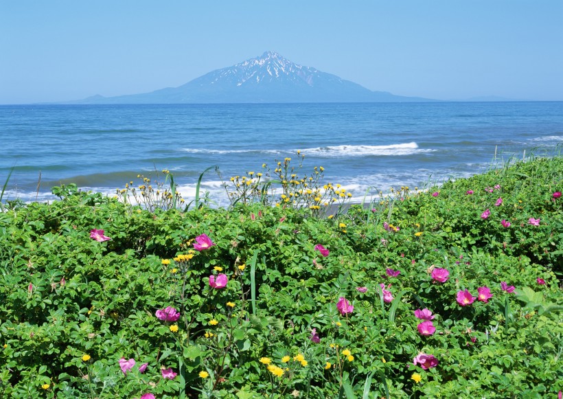 点击大图看下一张：北海道春季美景图片