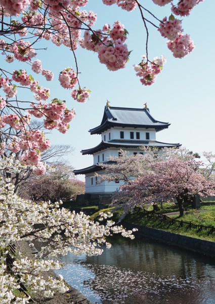 点击大图看下一张：北海道春季美景图片