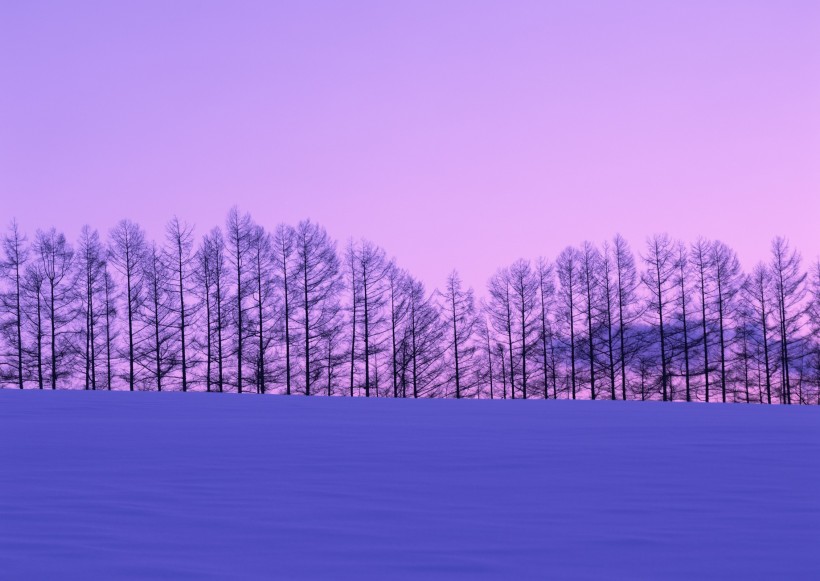 点击大图看下一张：北海道冬季风景图片