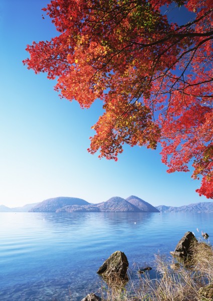 点击大图看下一张：北海道秋季景色图片
