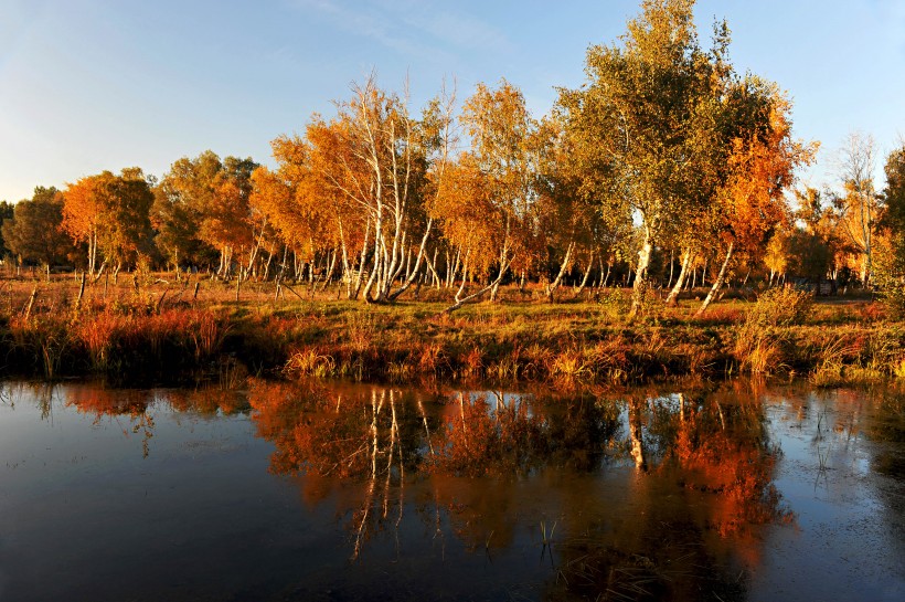 点击大图看下一张：北疆秋色风景图片