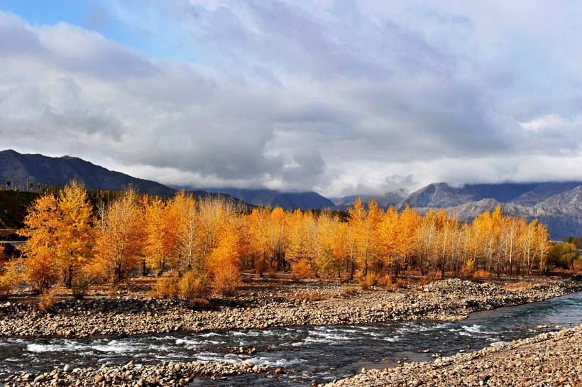 点击大图看下一张：北疆秋色风景图片
