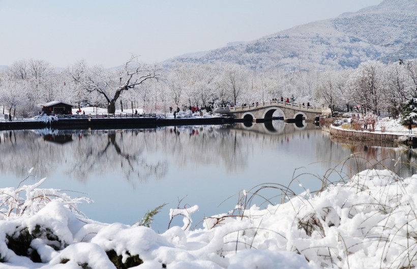 点击大图看下一张：北京植物园雪景图片