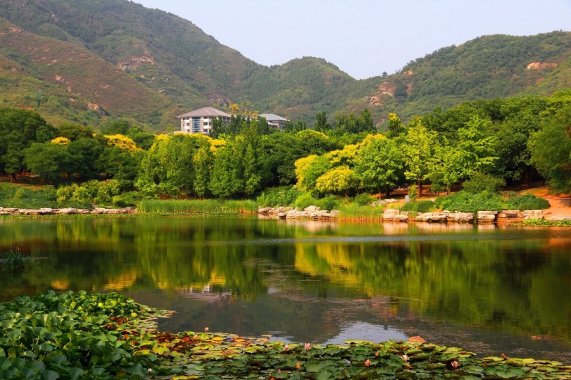点击大图看下一张：北京植物园风景图片