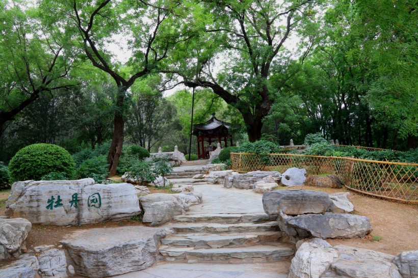 点击大图看下一张：北京植物园风景图片