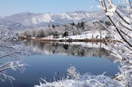 北京植物园雪景图片_15张