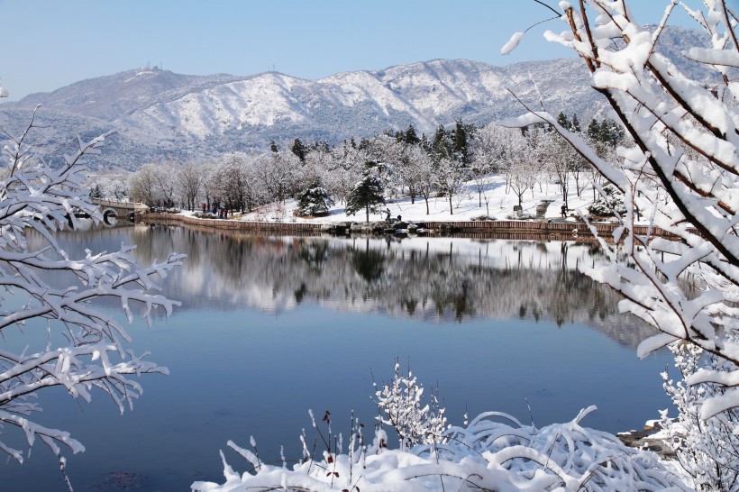 点击大图看下一张：北京植物园雪景图片