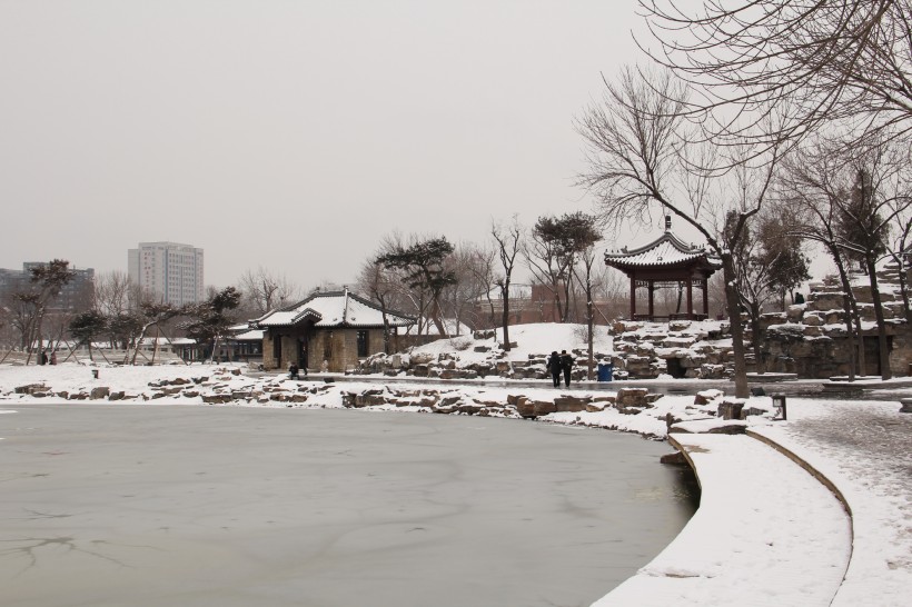 点击大图看下一张：天津北宁公园雪景图片