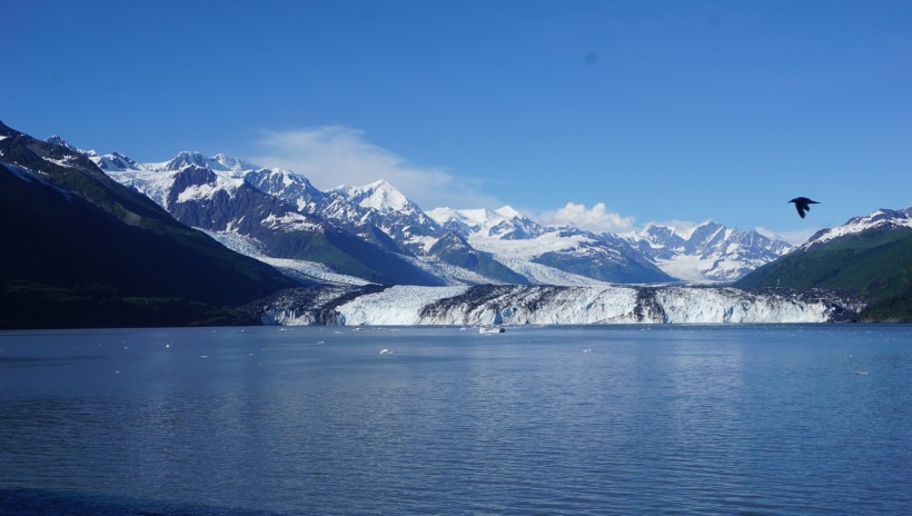 点击大图看下一张：美国阿拉斯加冰川风景图片