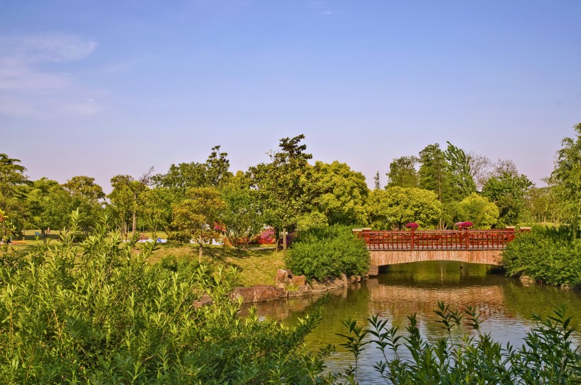 点击大图看下一张：上海滨江森林公园风景图片