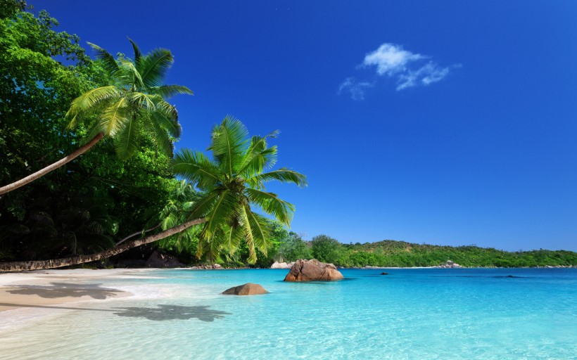 点击大图看下一张：波利尼西亚波拉波拉岛风景图片