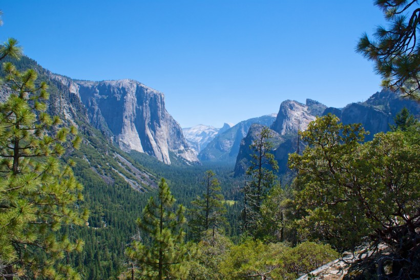 点击大图看下一张：美国加州森林路径风景图片