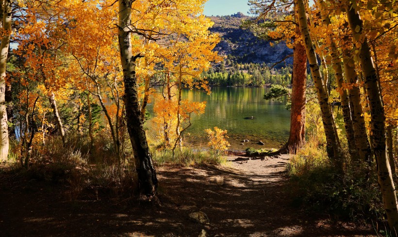 点击大图看下一张：美国加州秋季风景图片