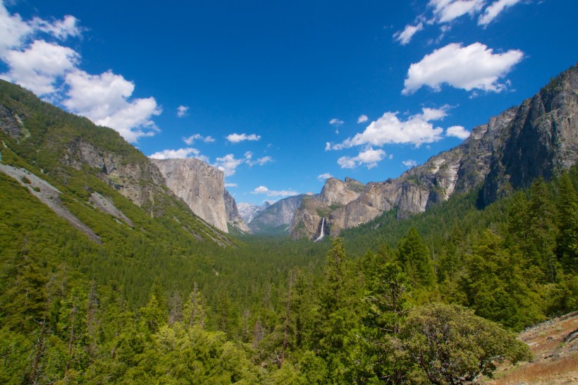 点击大图看下一张：美国加州森林路径风景图片