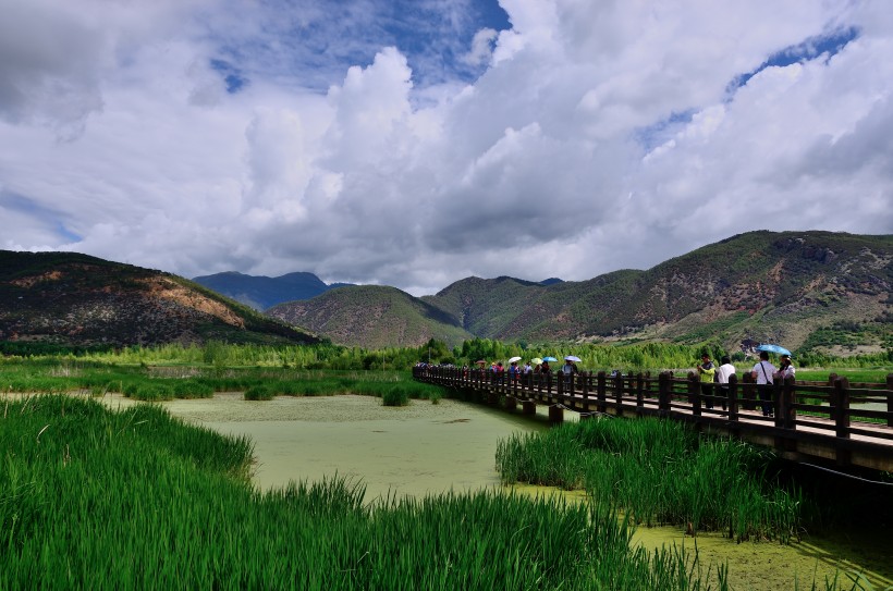 点击大图看下一张：泸沽湖草海风景图片