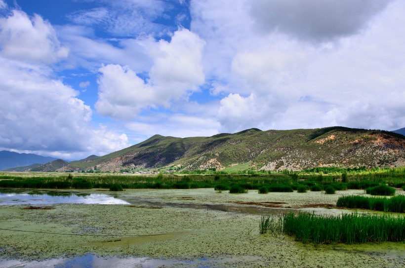 点击大图看下一张：泸沽湖草海风景图片