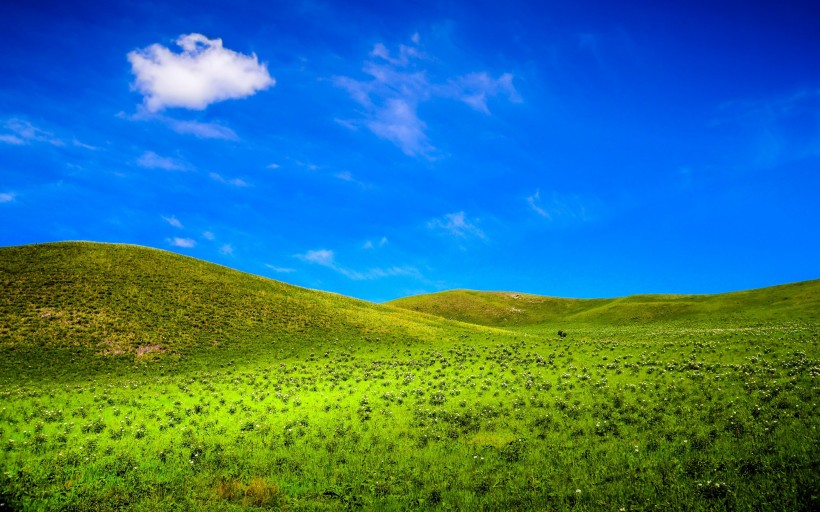 点击大图看下一张：内蒙古草原风景图片