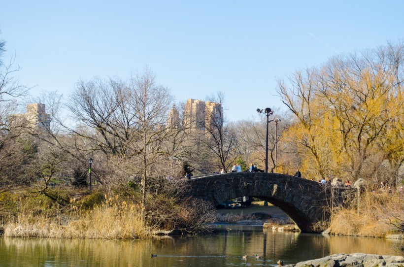 点击大图看下一张：美国纽约中央公园风景图片