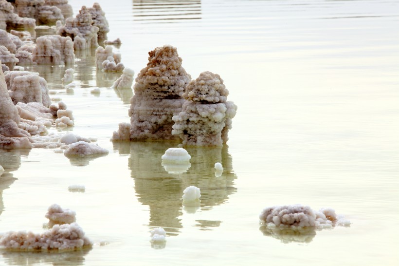 点击大图看下一张：青海察尔汗盐湖的盐花图片