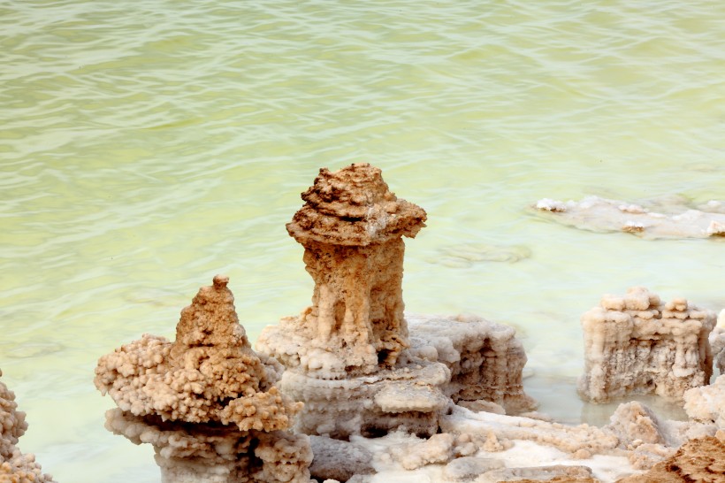 点击大图看下一张：青海察尔汗盐湖的盐花图片