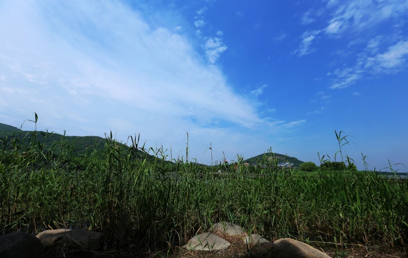 点击大图看下一张：江苏无锡长广溪国家湿地公园风景图片