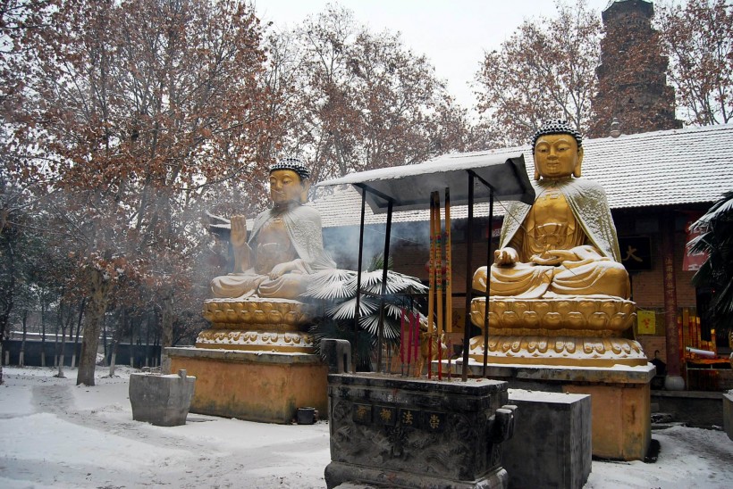 点击大图看下一张：河南崇法寺风景图片