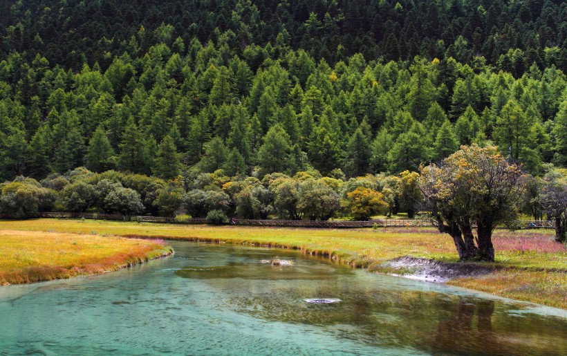 点击大图看下一张：四川稻城亚丁冲古草甸风景图片