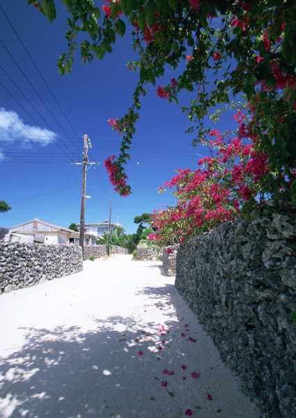 点击大图看下一张：冲绳风景图片