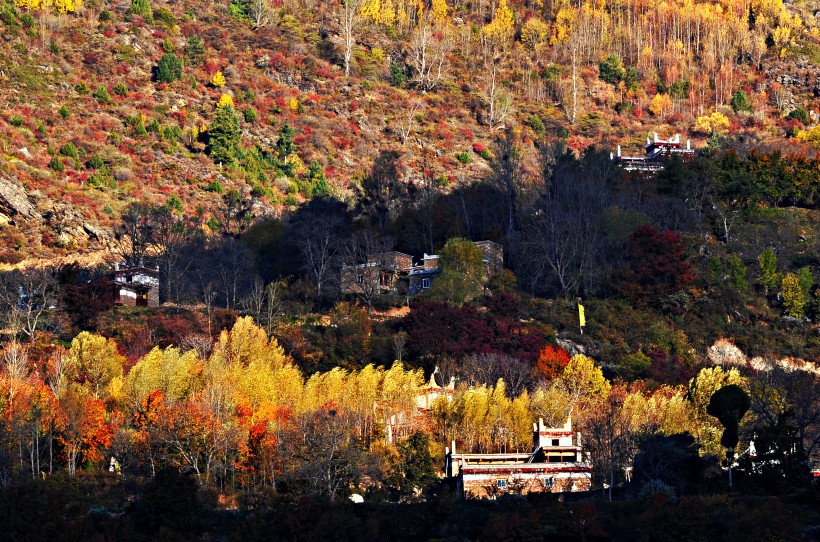 点击大图看下一张：四川川西巴丹藏寨风景图片