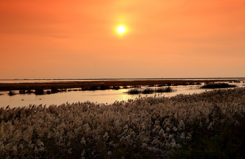 点击大图看下一张：天津大港湿地公园夕阳风景图片