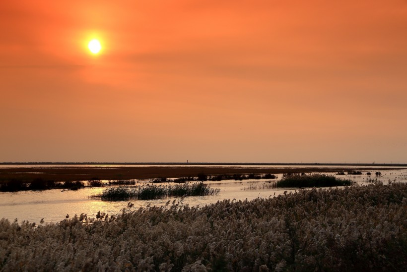 点击大图看下一张：天津大港湿地公园夕阳风景图片