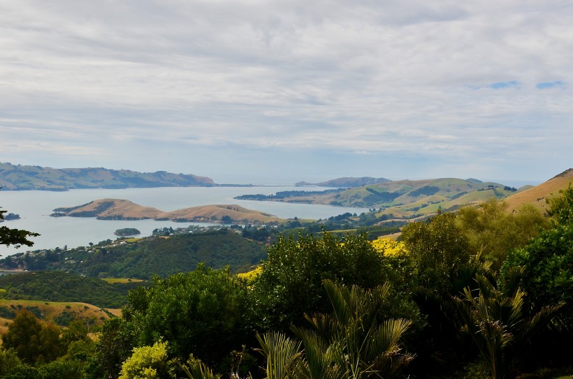 点击大图看下一张：新西兰但尼丁风景图片