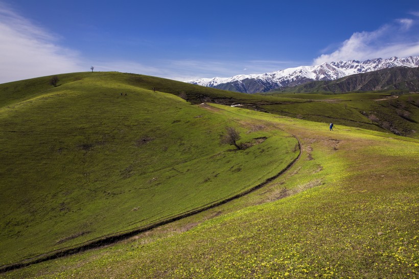 点击大图看下一张：新疆大西沟风景图片